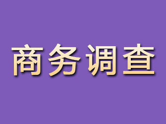 台山商务调查