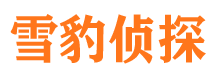 台山市侦探调查公司